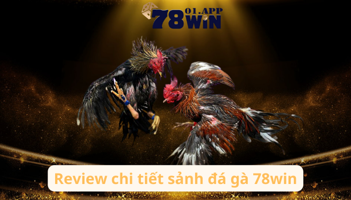 review-ve-sanh-da-ga-78win